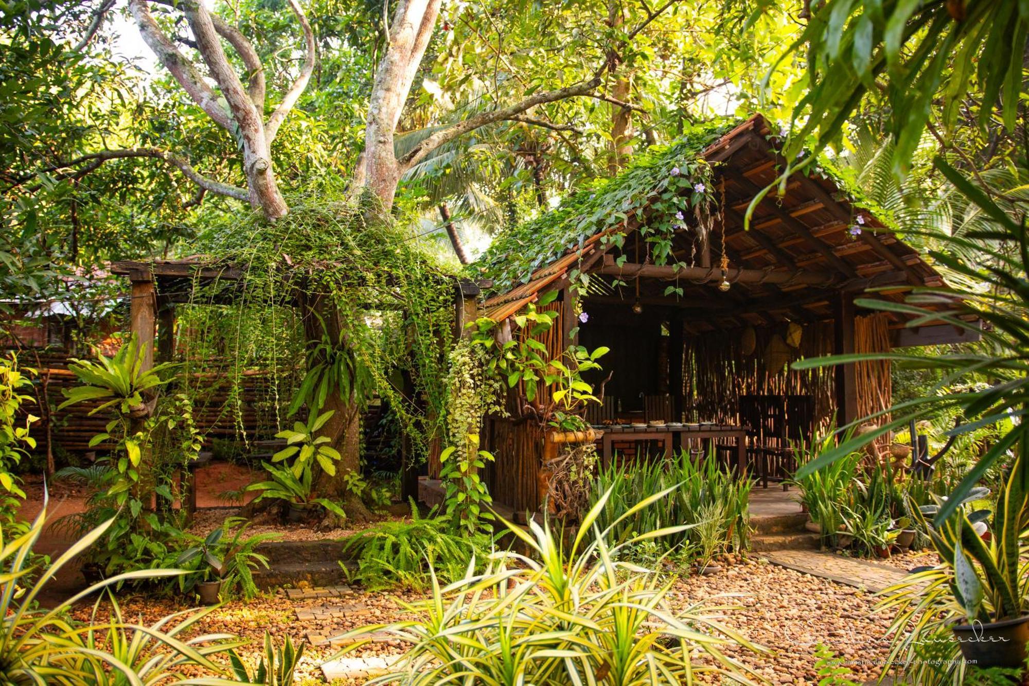 Green Paradise Cottage Udawalawa Udawalawe Exterior photo