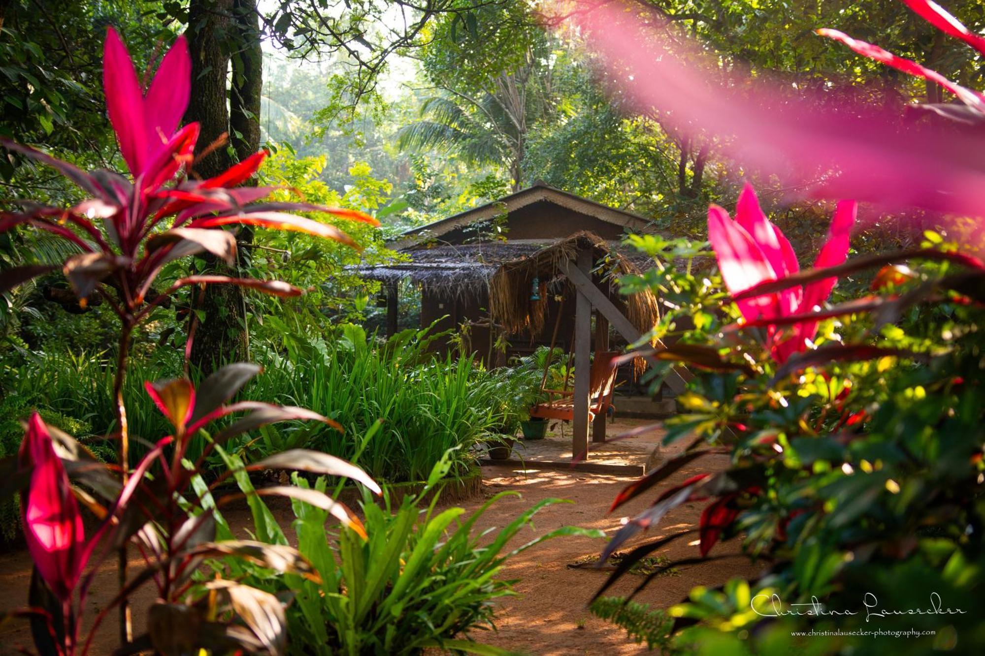 Green Paradise Cottage Udawalawa Udawalawe Exterior photo