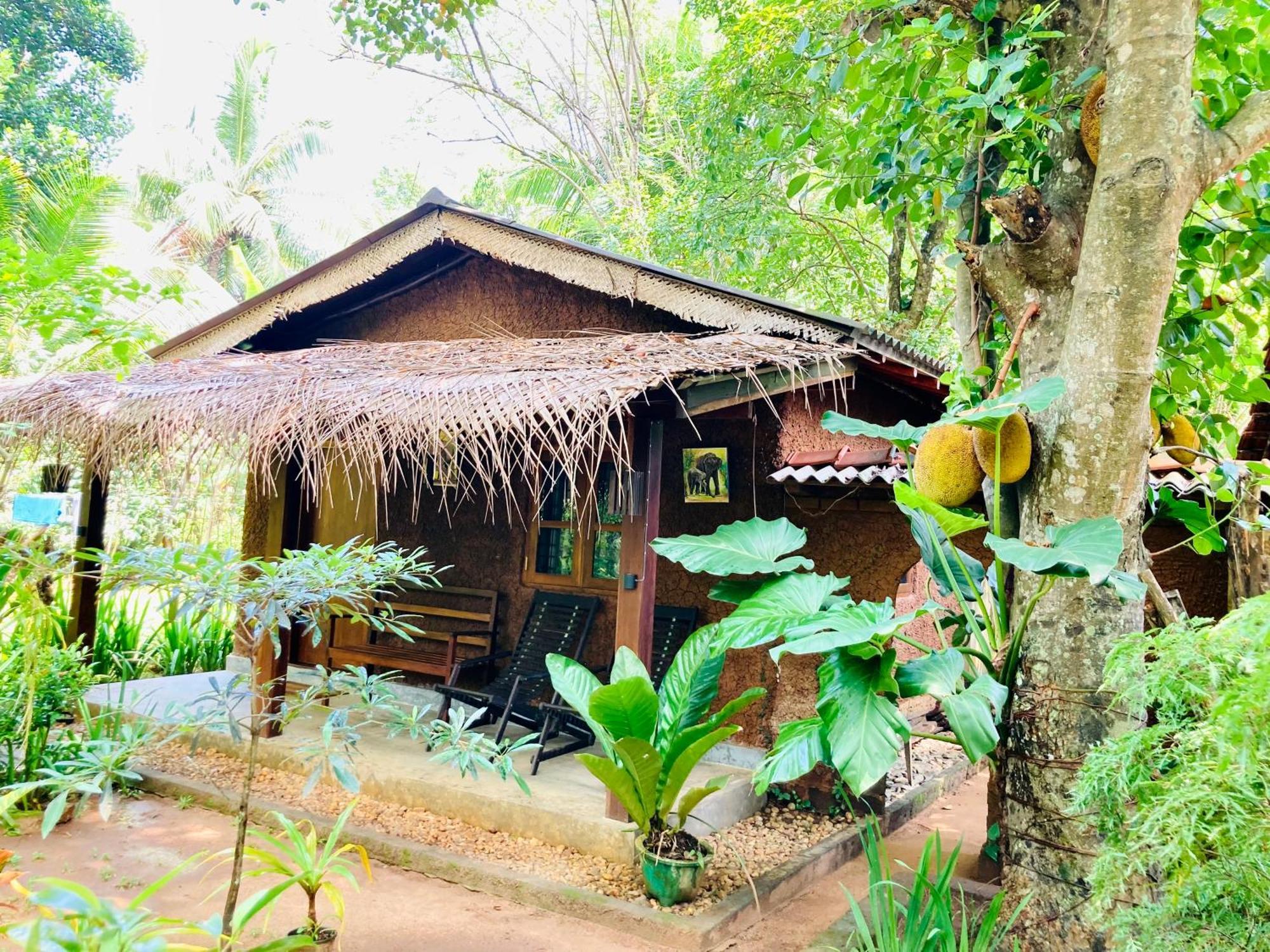 Green Paradise Cottage Udawalawa Udawalawe Exterior photo