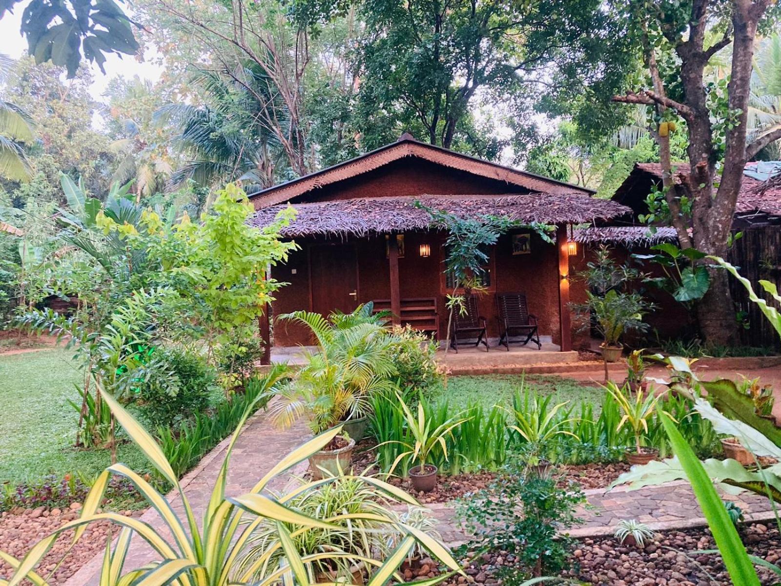 Green Paradise Cottage Udawalawa Udawalawe Exterior photo